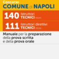 Concorso Comune di Napoli 140 Istruttori Tecnici (TEC/C) – 111 Istruttori direttivi Tecnici (TEC/D) – Manuale - 328/N4