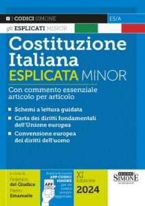 Costituzione Italiana Esplicata