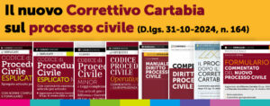 Correttivo Cartabia Riforma Civile