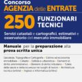 Concorso Agenzia delle Entrate - 250 Funzionari Tecnici – Manuale – 313/10