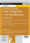 Codice della Crisi d'Impresa e dell'Insolvenza Minor