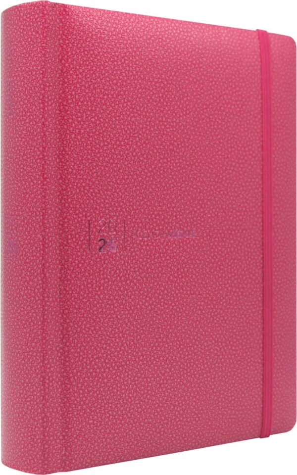Agenda legale rosa Simone 2026