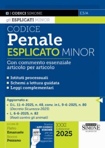 Codice Penale Esplicato Minor