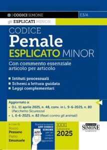 Codice Penale Esplicato Minor