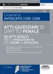 Atti Giudiziari di Diritto Penale