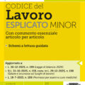 Codice del Lavoro Esplicato Minor