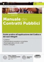 Manuale dei Contratti Pubblici